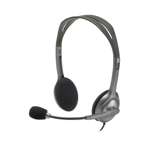 Logitech H110 Stereo Laidinės ausinės, 3.5mm jack, Juoda/Sidabrinė